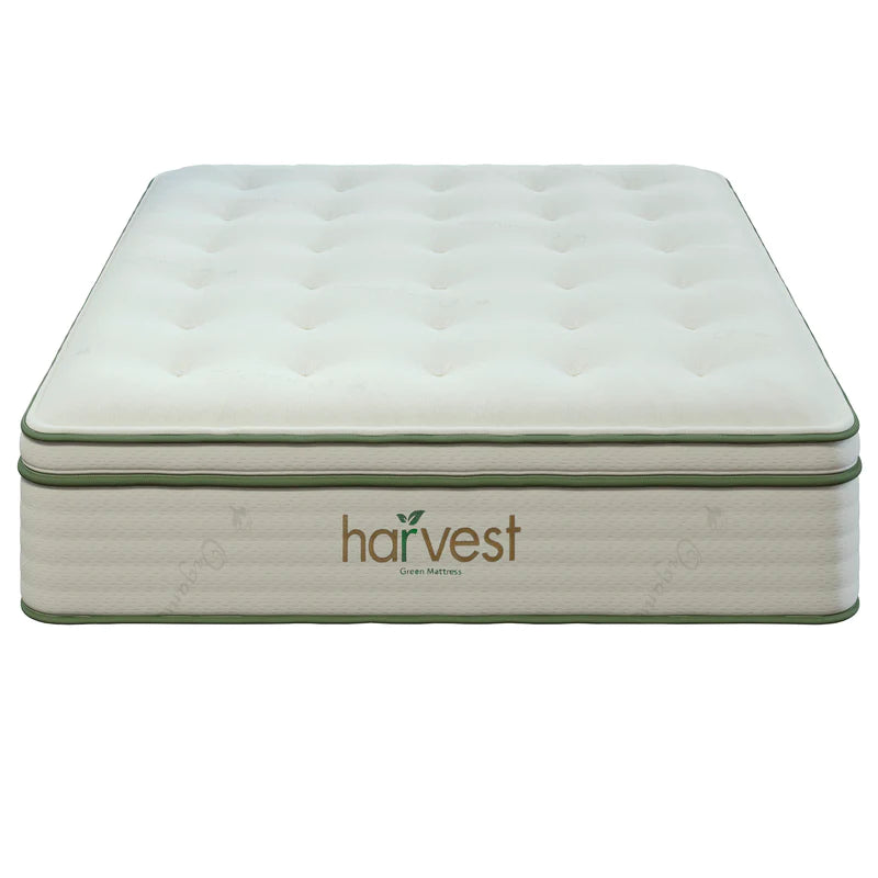 Harvest Vegan Latex Medium Pillow Top Mattress 13"